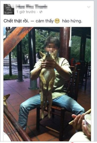 Phản cảm những hình ảnh hành hạ chó dã man rồi đăng hình lên Facebook