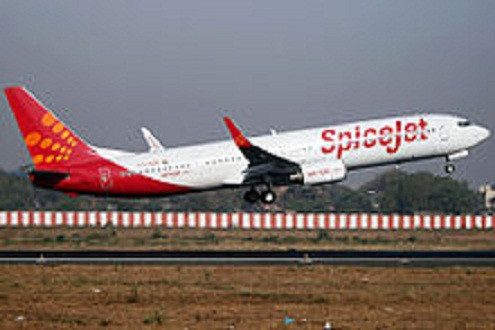 Máy bay Ấn Độ đâm phải trâu trong quá trình cất cánh