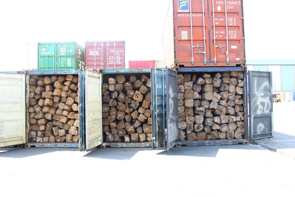 Phong tỏa 11 container nghi là gỗ lậu ở cảng Sài Gòn