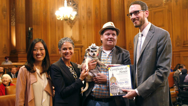 Cô nàng chó chihuahua được bầu làm Thị trưởng San Fracisco