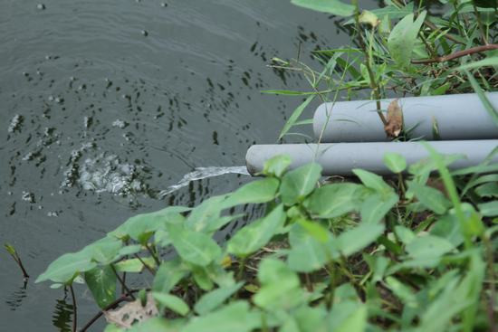 Độc đáo máy tập thể dục biến nước ô nhiễm thành nước sạch ở Hà Nội