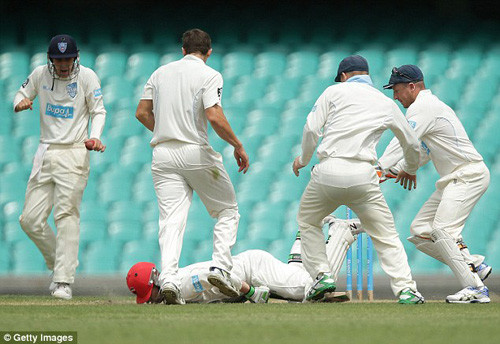 Tuyển thủ Cricket tử vong vì bị ném bóng vào đầu