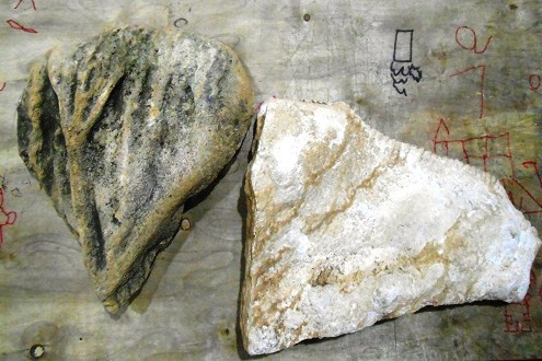 Thanh Hóa: Phát hiện xương khủng long hóa thạch?