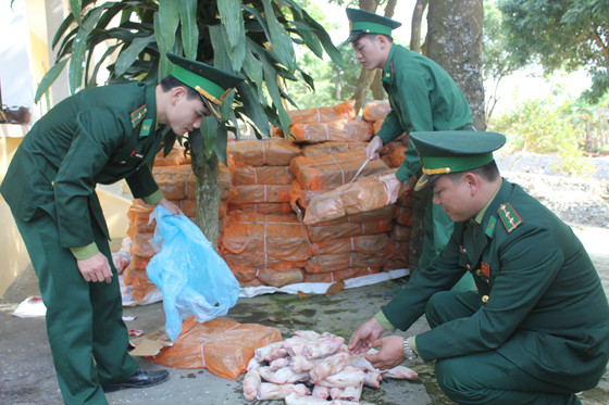 Lào Cai: Bắt giữ gần 2 tấn chân giò và nội tạng vận chuyển từ Trung Quốc
