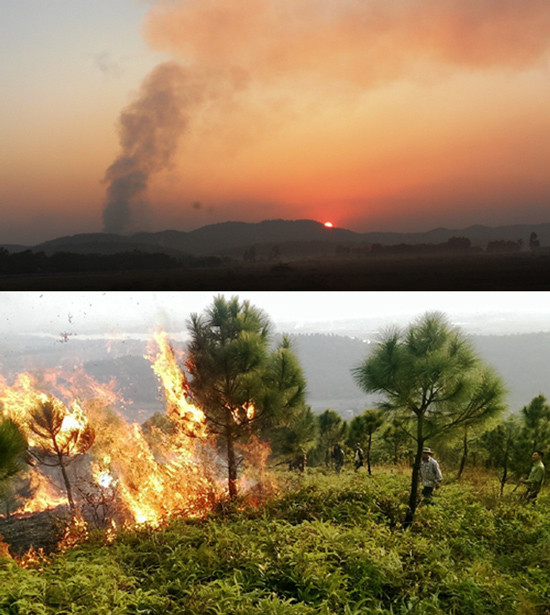 Bắc Giang: Liên tiếp xảy ra cháy rừng, hàng chục ha rừng bị thiêu rụi
