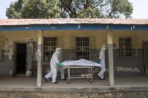 Hơn 7.000 người chết do Ebola tại 3 quốc gia Tây Phi
