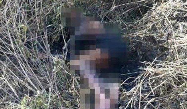 Bình Dương: Phát hiện xác người đàn ông cháy đen trong bụi