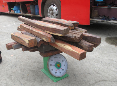 Cắt thùng bí mật thu giữ hơn nửa tấn gỗ trắc trong xe khách biển Lào