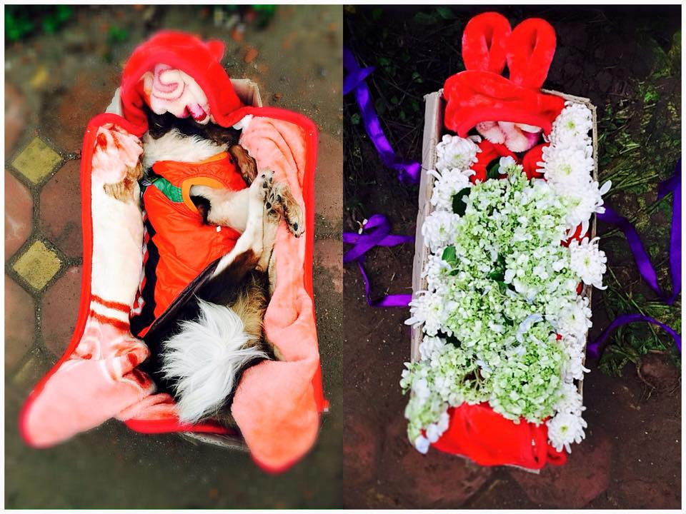 Minh Chuyên làm tang lễ chu đáo cho cún cưng
