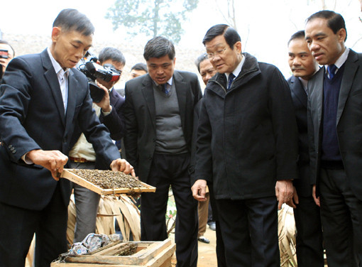 Chủ tịch nước khảo sát kết quả xây dựng nông thôn mới tại Tuyên Quang