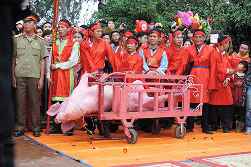 Tranh cãi kịch liệt về Lễ hội chém lợn tại Bắc Ninh