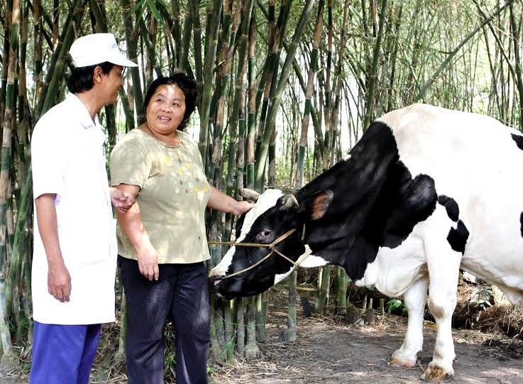 Tháng 1/2015: Vinamilk thu mua sữa bò tươi nguyên liệu của nông dân tăng gần 22%