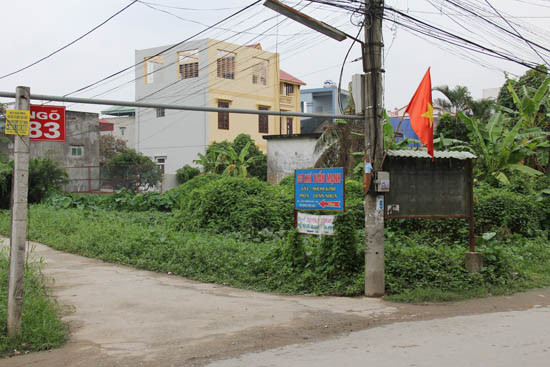 Nam Định: Tình cảnh thương tâm của gia đình thương binh được cấp đất nhưng không được sử dụng