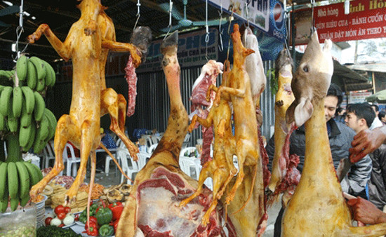 Chùa Hương 2015: Thịt thú rừng chỉ được bày trên đĩa, cấm được treo