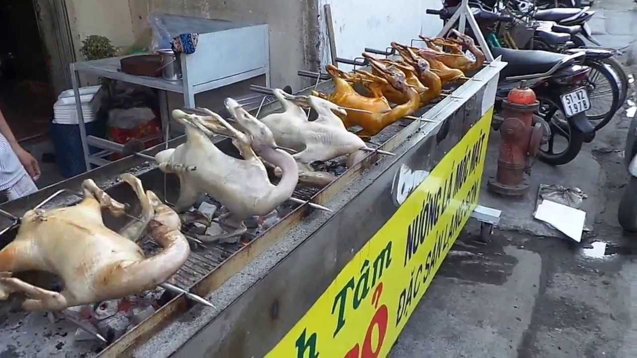 Hà Nội: Tịch thu hơn 300 con vịt không rõ nguồn gốc