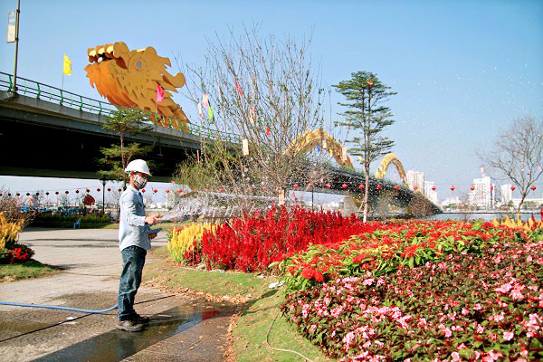 Nhân viên công ty DHC đang chăm sóc hoa cho đến ngày 29/3 để chào mừng ngày giải phóng thành phố Đà Nẵng