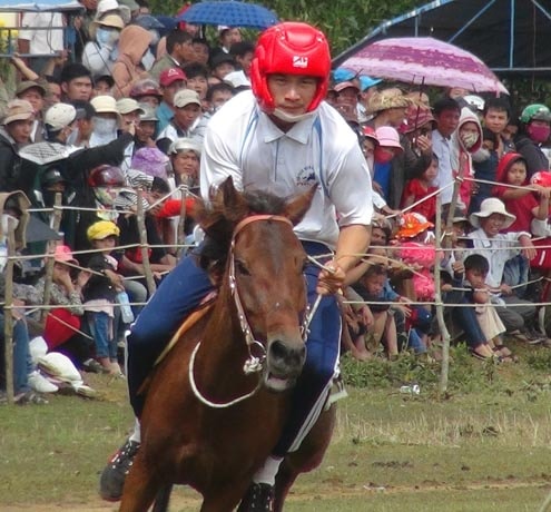 Phú Yên: Tưng bừng vó ngựa Gò Thì Thùng