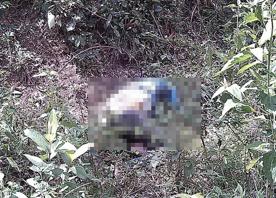 Phát hiện thi thể nữ sinh mất tích đang phân hủy trong rừng