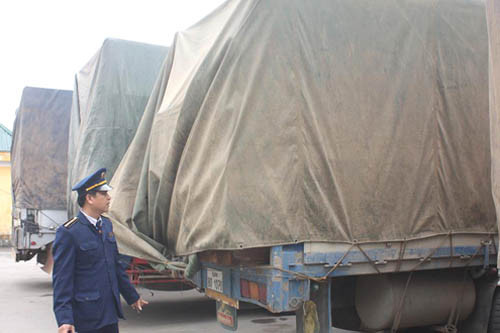 Bắt đoàn xe “siêu khủng” chở gỗ từ Lào về Việt Nam