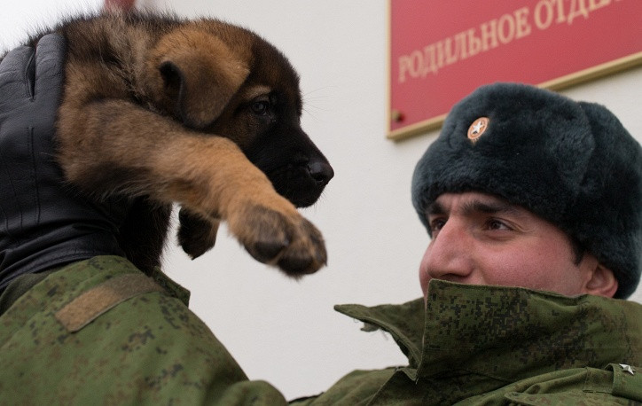 Những “chiến binh 4 chân” trong quân đội Nga
