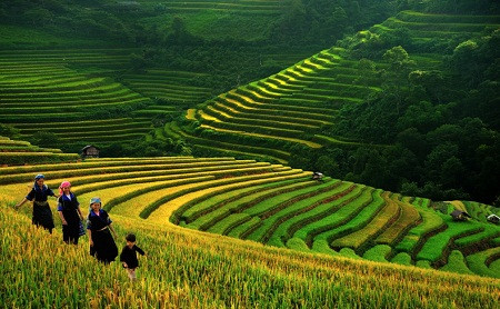 Báo Mỹ viết về giá trị văn hóa truyền thống ở Việt Nam