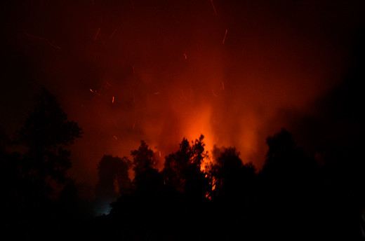 TP.HCM: Cháy rừng cực lớn, người dân gom tài sản bỏ chạy