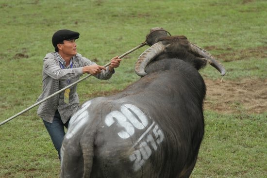 Cuộc chiến 