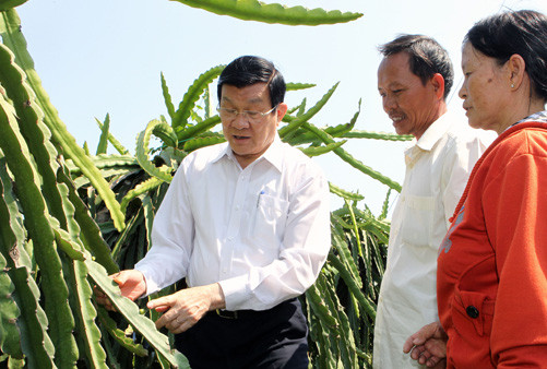 Chủ tịch nước thăm và làm việc tại Bình Thuận 