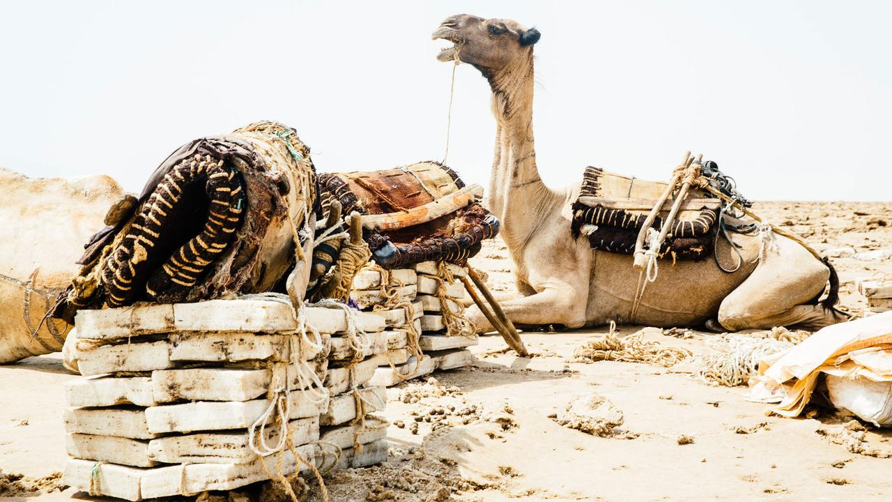 Đến thăm vùng đất khắc nghiệt nhất thế giới ở sa mạc Danakil