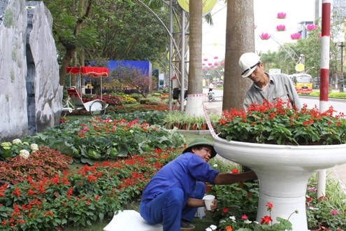 Thanh Hóa: Tất bật chuẩn bị đường hoa chào đón Năm du lịch Quốc gia