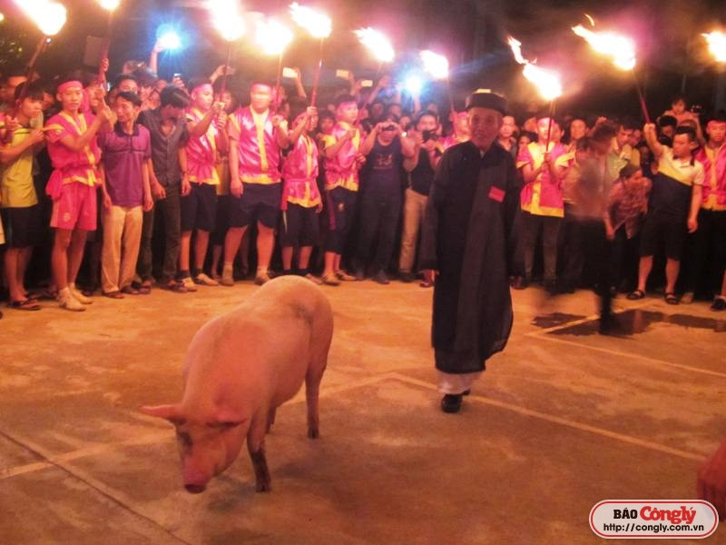 Ghi chép tại lễ hội chém lợn Đình Thạch Cầu Bây, Hà Nội
