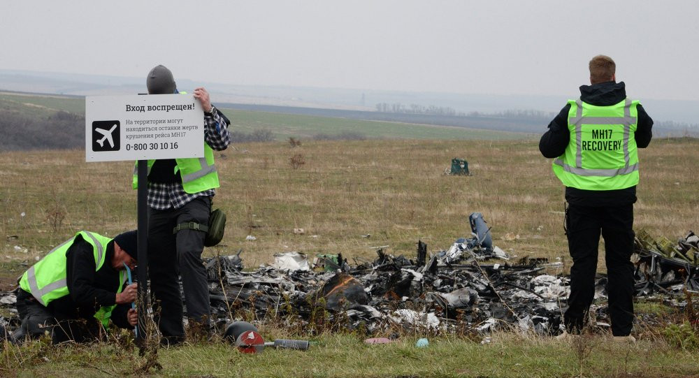 Công việc thu dọn và làm sạch hiện trường vụ tai nạn MH17 dự kiến sẽ hoàn tất vào ngày mai (29/4).