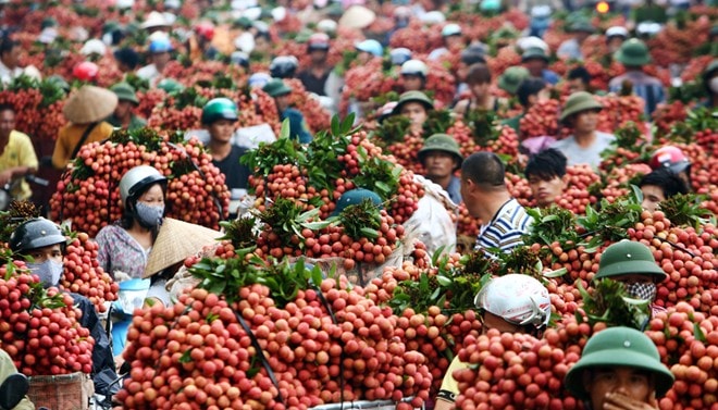 Ngưng nhập khẩu thịt gà Mỹ, vải chiếu xạ được nhập vào Úc