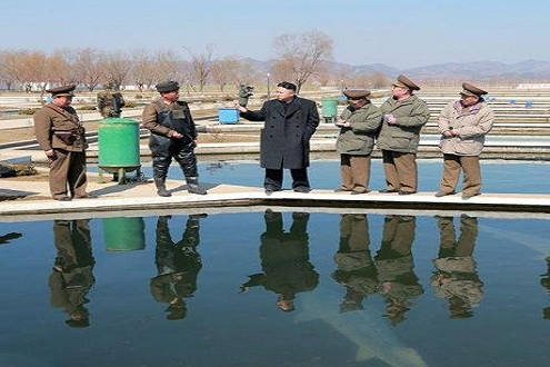 Vắng bóng Bộ trưởng Quốc phòng trong chuyến thăm trại cá của ông Kim Jong Un 