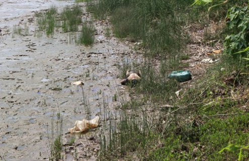 Thanh Hóa: Phát hiện xác nam thanh niên dạt vào bờ sông
