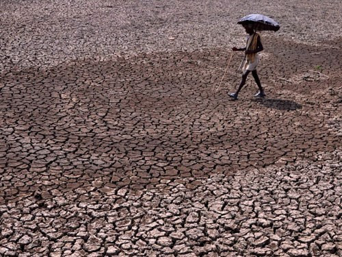 Bản tin 115 nổi bật tuần qua: Hàng trăm người chết vì nắng nóng tại Ấn Độ trong 3 ngày