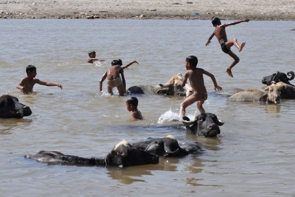 Chùm ảnh: Người dân Ấn Độ “trốn” nắng nóng kỷ lục gần 50 độ C