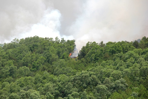 Thanh Hóa: Cháy rừng từ huyện Hậu Lộc sang huyện Hoằng Hóa