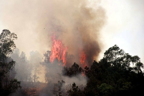 Thanh Hóa: Lửa bùng phát trở lại, cháy rừng tiếp tục lan ra diện rộng
