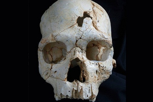 Vụ giết người đầu tiên trong lịch sử xảy ra cách đây 430.000 năm?