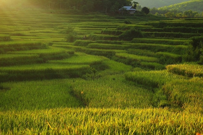 10.000 nụ cười cho “Những thiên thần bản xa”