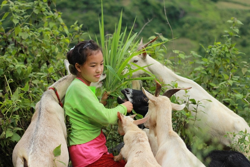 10.000 nụ cười cho “Những thiên thần bản xa”