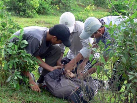 Khốc liệt cuộc chiến chống ma túy ở Điện Biên