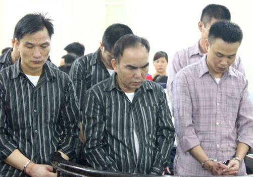 Nhóm trộm cây sưa ở Hà Nội lĩnh án