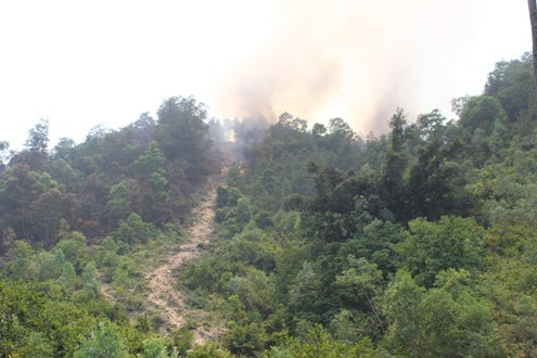 Thanh hóa: Nắng nóng nhiều ngày, rừng tiếp tục cháy