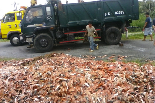 Vĩnh Long: Lật xe tải, hàng tấn phụ phẩm cá văng xuống đường