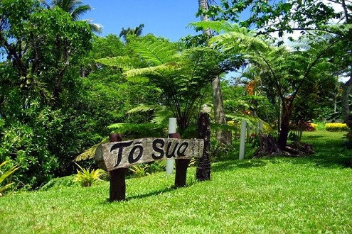 Đến Samoa, thả mình trong hồ bơi tự nhiên đẹp nhất thế giới 