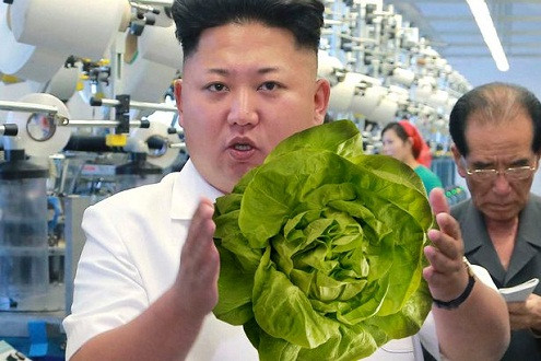 Lo sợ ngộ độc, Kim Jong-Un bắt soi rau quả bằng kính hiển vi