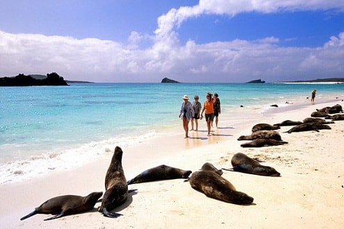 Galapagos - quần đảo đẹp nhất thế giới, thiên đường của động vật hoang dã