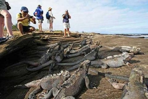 Galapagos - quần đảo đẹp nhất thế giới, thiên đường của động vật hoang dã